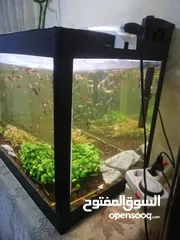  3 حوض سمك للبيع بسعر حرق