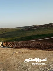  2 للبيع قطع مفروزة طريق الزرقاء اربد منطقة بلعما واصل خدمات