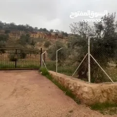  2 إعلان رقم: (5469) مزرعة مميزة للبيع في اجمل مناطق عراق الأمير _ إطلالة بانورامية غربية خلابة