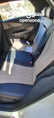  19 BYD 2023 دولفين