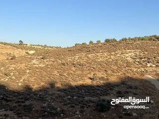  8 أرض زراعية للبيع في سيحان / البلقاء 5 دونمات و 300 متر.