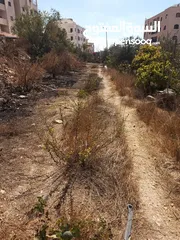  3 ارض دائره السير