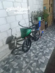  1 بسكليت مع الزينة 40 دينار