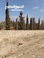  4 6 دنمات مخدومات منطقة مزارع وشاليهات