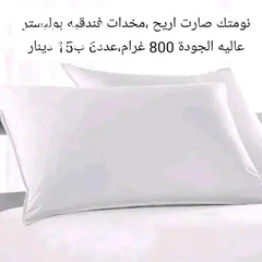  5 مخدات طبيه عدد6