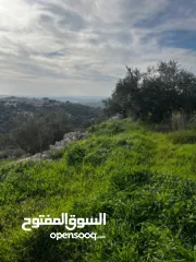  3 أرض للبيع بإطلالة غربية واصل جميع الخدمات