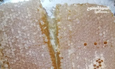 15 عسل طبيعي بلدي اصلي مضمون ومكفول 100٪؜ من مناحلنا