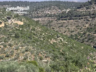  1 للأستثمار ارض مساحه 5000 متر خمسه دنم واصلهم  خدمات وسط الجبل كل دنم كوشان مفصول السعر لقطه