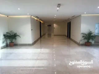  2 High Luxury Apartment for rent in Aziba south