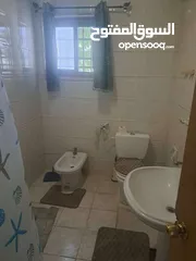  6 استيديوهات مفروشة شامل ماء وكهرباء وانترنت