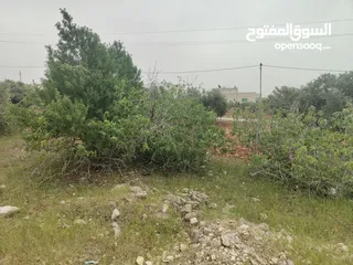  2 ارض سكنيه للبيع في مرو