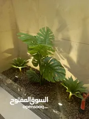  13 شقة فاخرة بإطلالة  مميزة بارقى مناطق عمان الغربية الجبيهة ارضي واخير مع رووف وطوابق