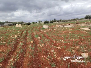  1 اقل سعر ب المنطقة ارض مميزه 3 دونمات ونصف قرب اتستراد جرش سهليه جاهزه للبناء والزراعه