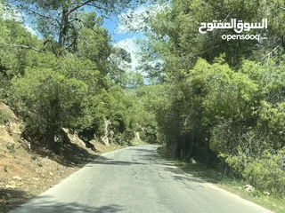  5 شالية ب نظام كوخ ب اجمل غابات عجلون