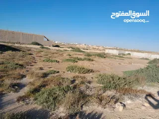  2 قطعة أرض فاضيه في الترية قبل شيل بنزينة  موقعها ثاني قطعة قبل شط البحر