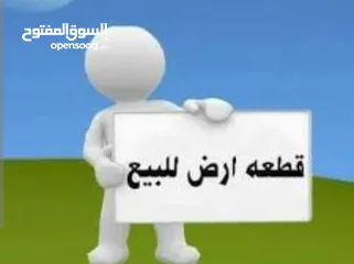  2 ارض للبيع في البتراوي