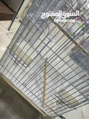  4 قفص ببغاء ايطالي لجميع انواع الطيور الكبيرة  كاسكو تيمنا . ماكاو . بلو فرونتد . كوكاتو