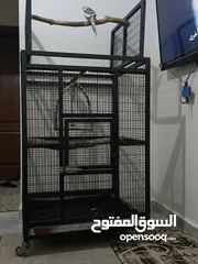  3 قفص  ببغاء  كاسكو أو مكاوي تفصيل متحرك بعجال  حجم كبير وثقيل وشي مرتب