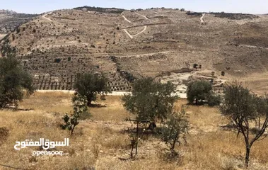  2 مزرعة للبيع في السلط