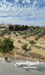  14 شقة مع رؤؤف للبيع ، الجبيهه ، عمان ، الأردن ، الأردن ، الأردن ، الجبيهه ، عمان ، الأردن ، الأردن،،