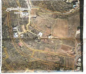  1 محمد ماجد الهندي