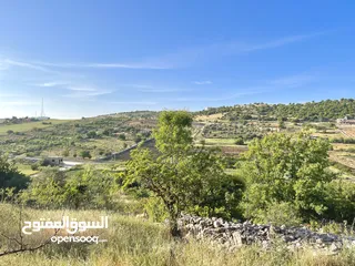  5 ارض للبيع في الأردن