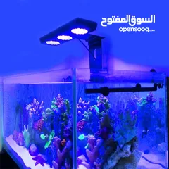  9 حوض بحري مع تجهيزات كامله