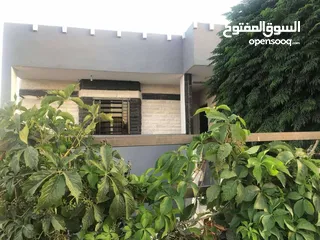  10 بيت مستقل للبيع