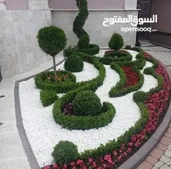  21 مؤسسة ومشاتل رويد لتنسيق الحدائق