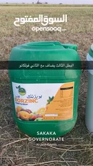  5 داون سفن مصنع سماد الشمال