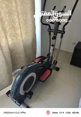  3 Handsom trainer