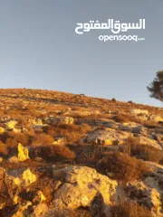  9 ارض للبيع او البدل كوشان طابو جاهز