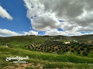  7 بسعر حرق شارع بيرين الخله الرئيسي 4200م