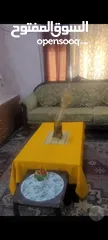  2 للايجار مفروش غرفتين نوم صالون مطبخ حمام عماره هادئه مكيف قريبه من الخدمات