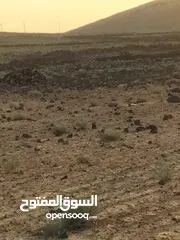  2 ارض للبيع بسعر ممتاز