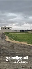  4 اليادودة حوض 11 الفريط  4 دونم