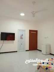  6 اصباغ جوتن وجبسيات مسقط