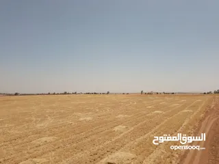  7 مادبا ماعين المشرفة قطعة ارض زراعية مميزة واصل الخدمات ذات اطلالة على البحر الميت واصل الخدمات