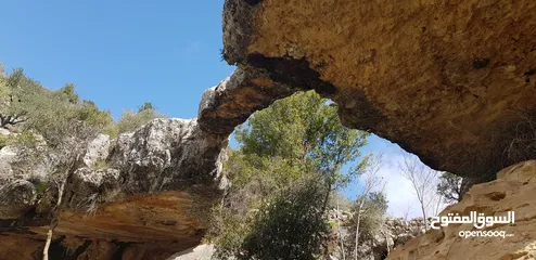  1 أرض للبيع في نحلا البترون