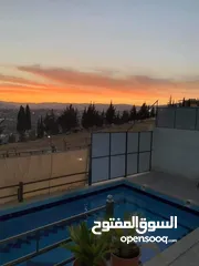  25 احجز معنا في مزرعه ماريا (جرش) احلا اطلاله بانوراميه خلابه على جبال سوف والسلط وعمان في منطقة هادئة