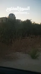  3 ارض مميزة للبيع في جيوس مساحات متعددة طابو منطقة بي..