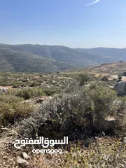  2 ارض مميزة للبيع في تلال عبوين وسنجل (تلال غرابة)