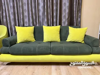  1 تخم قنفات تركي