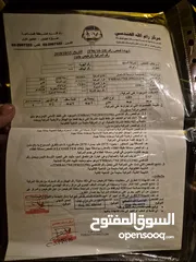  12 اوكتافيا 2015 ترخيص 2015 مطور 1600 ديزل  كير عادي