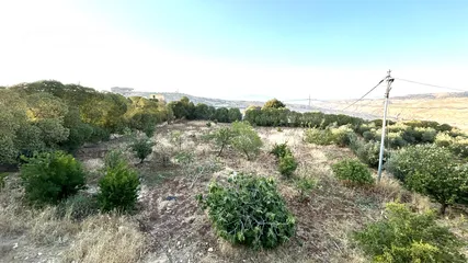  5 ارض + منزل للبيع