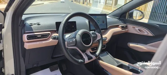  6 BYD SEAGULL 2023