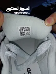  5 adidas campus جديد يتانمي نمرة 42 سبب  البيع كبير