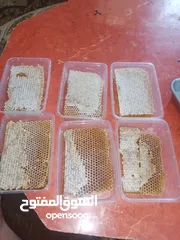  4 عسل نحل بلدي من منحلي بسعر جمله الجمله