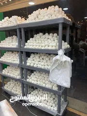  11 رفوف بلاستيك مفيدة وعملية