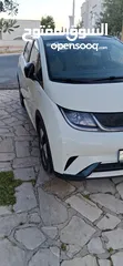  6 BYD 2023 دولفين